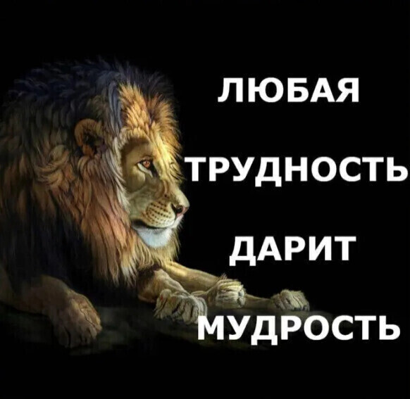 @erjan_talas