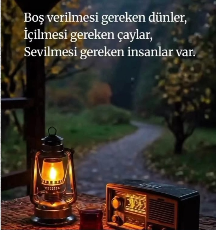@mecnun
