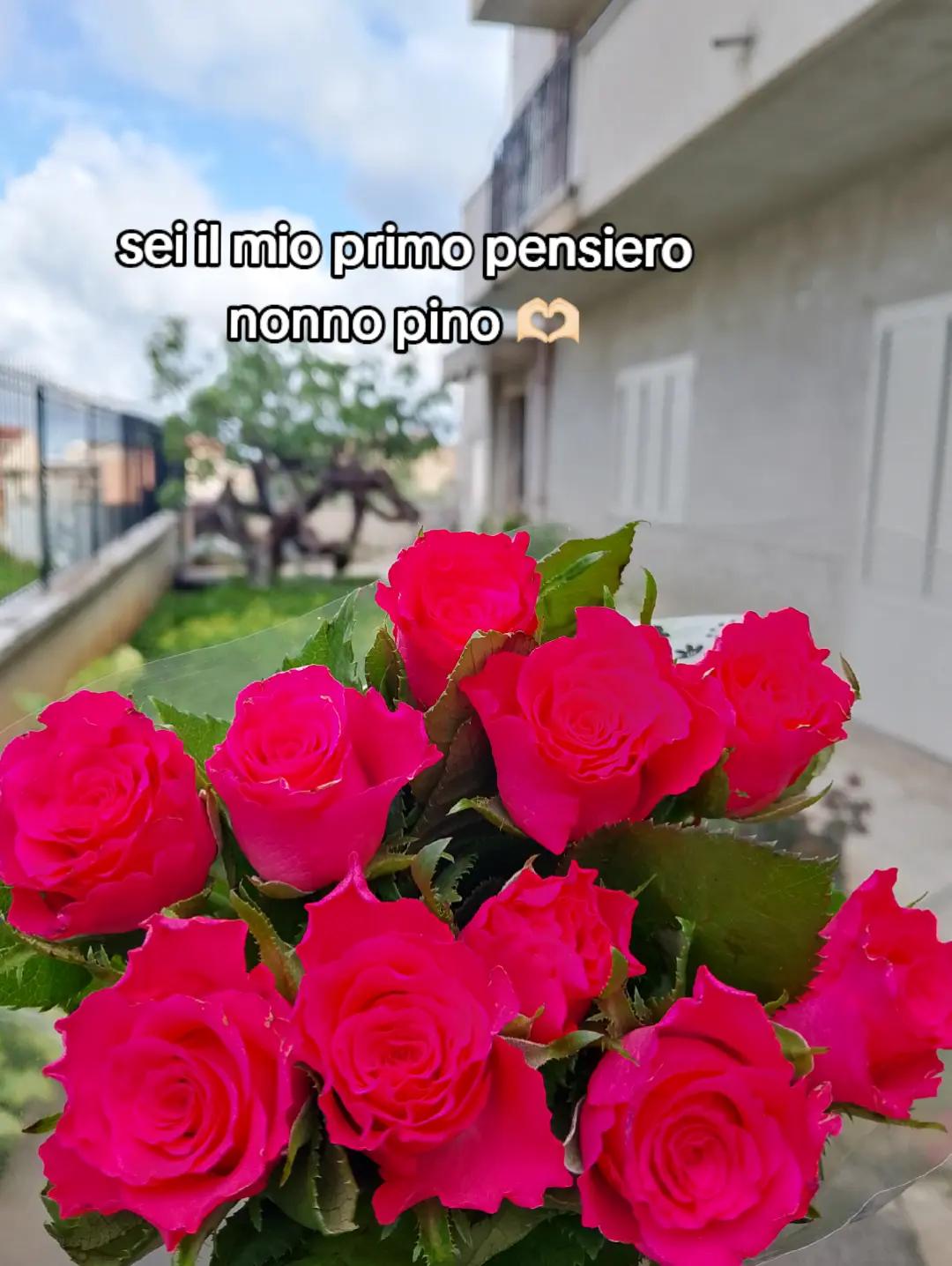 @Luana🌻