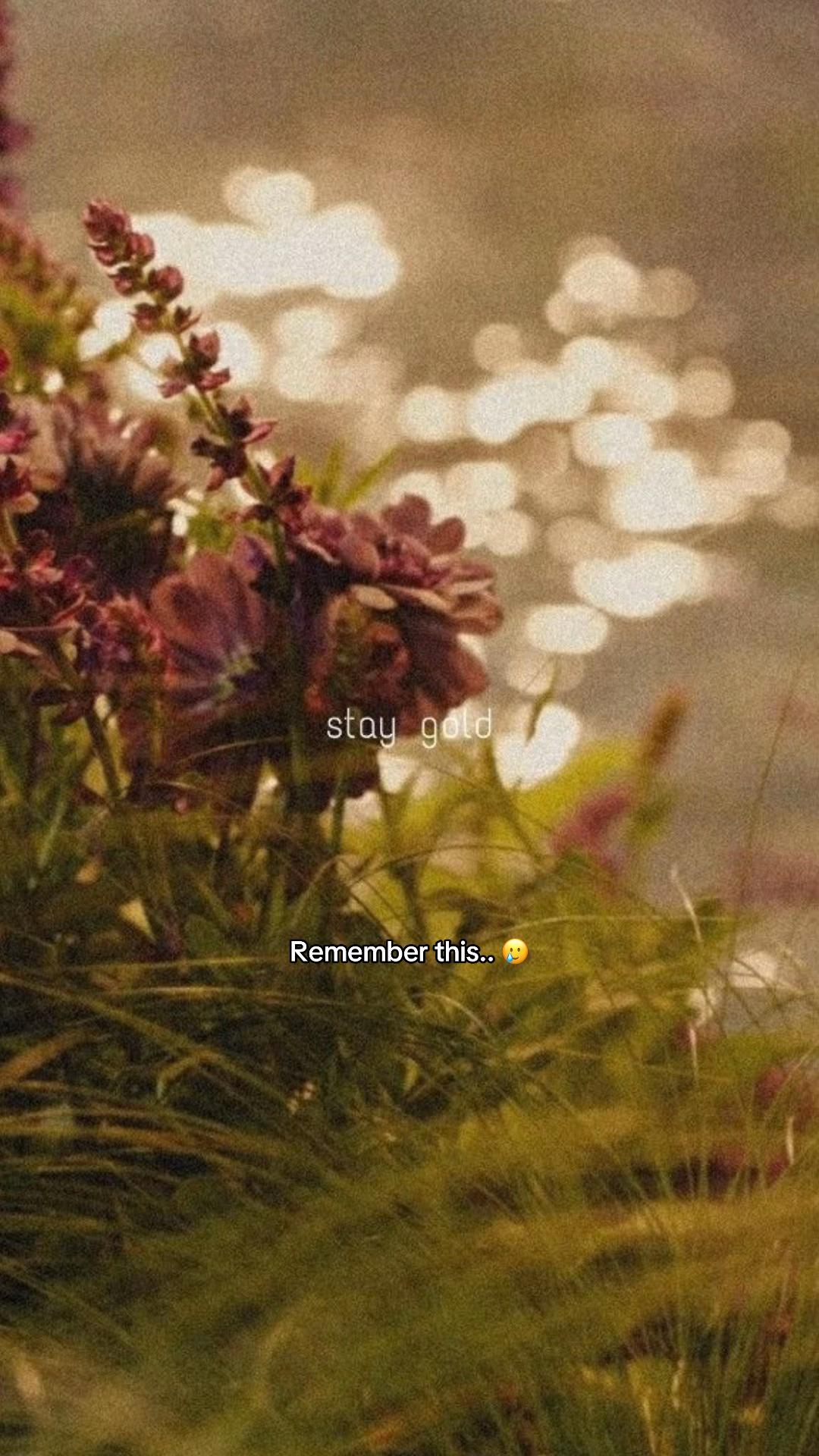 @Angel who