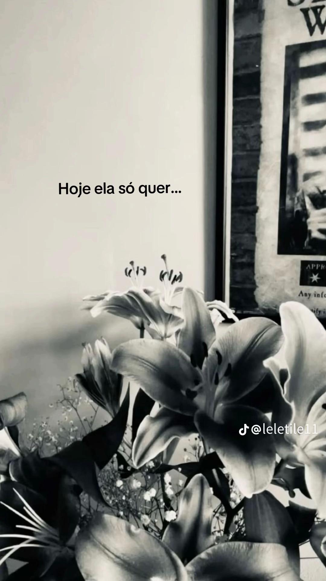@alicebroker__