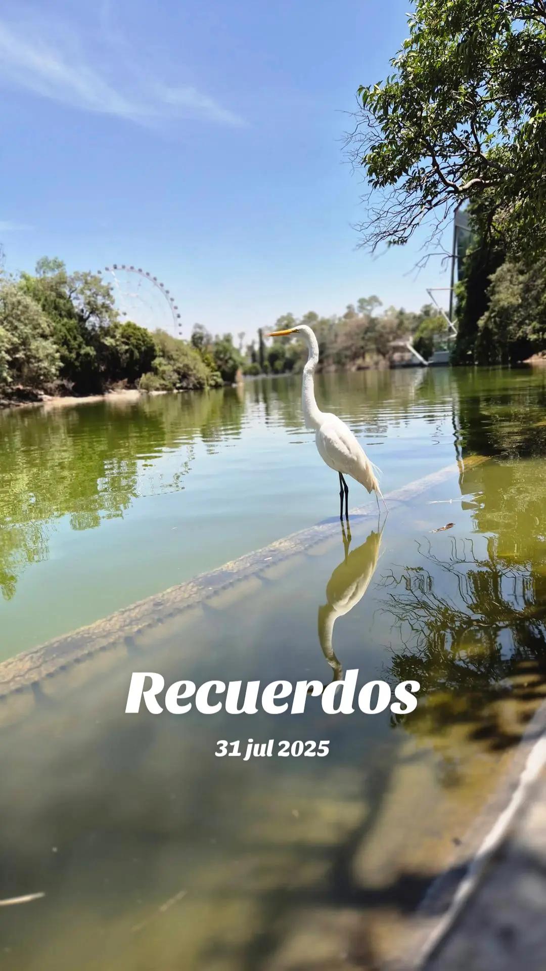 @Rhosy_lachilanguita⚘️