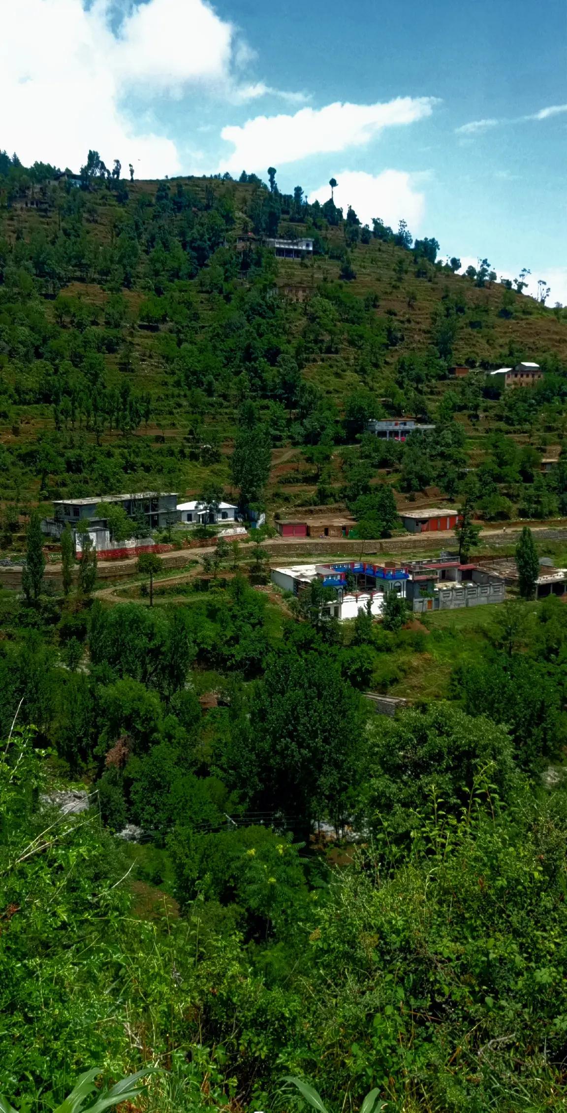@🌲غر سنے 🌲