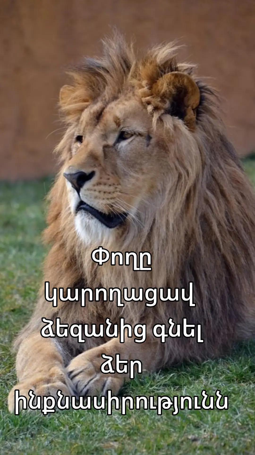 @🧸⚡Կայծ⚡🧸