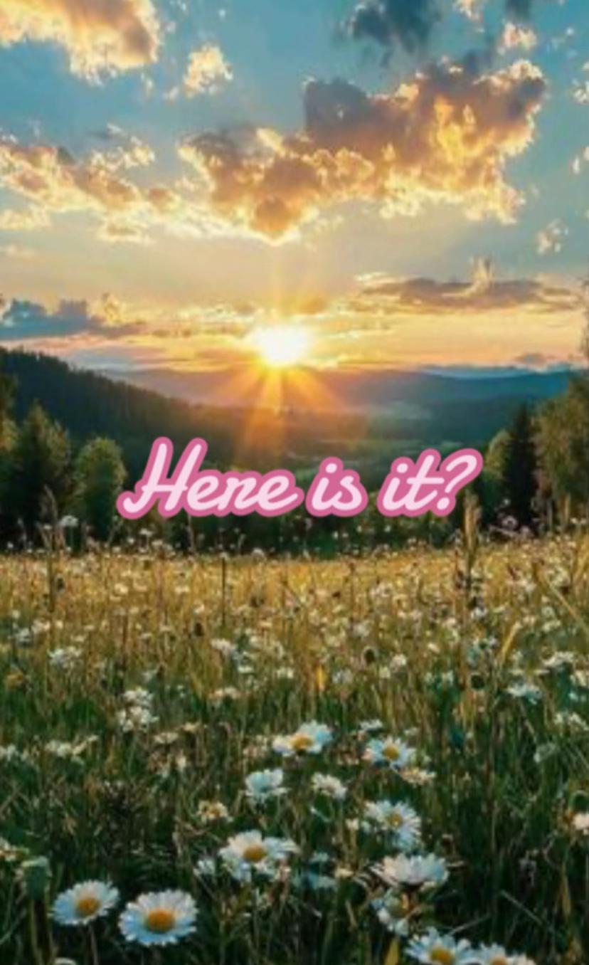 @~✯✿ℳ&rsquo;𝒬𝒰ℰ ℛℰ𝒜ℒℳ✿✯~