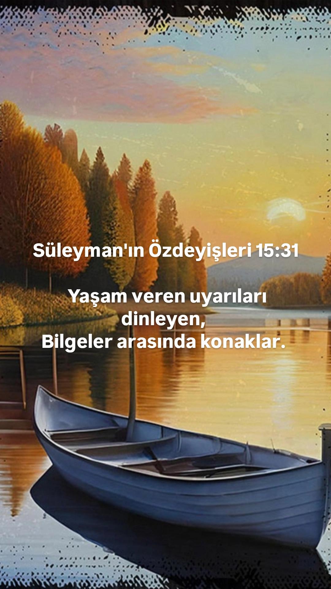 @Mehmet BELLİ