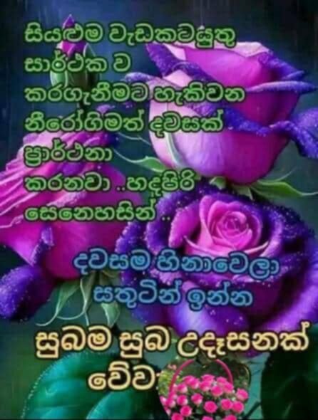 @prasanna