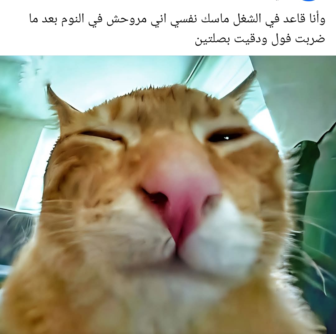 @ahmed