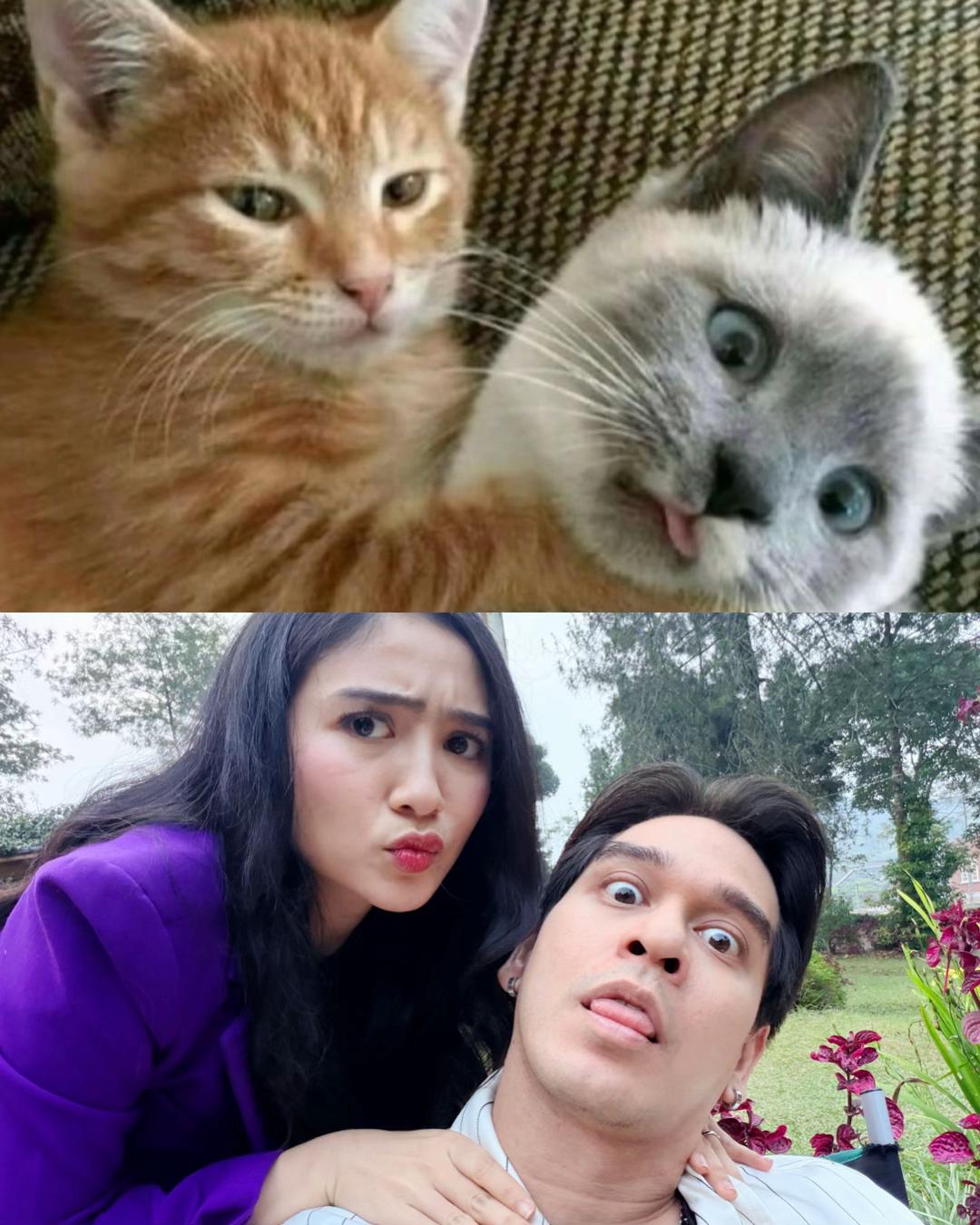 @Febby Rastanty
