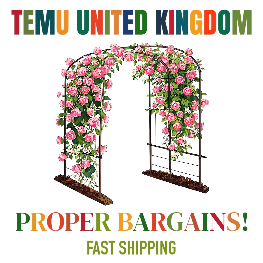 @temu_techfinds