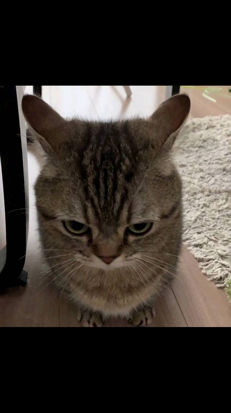 @💤