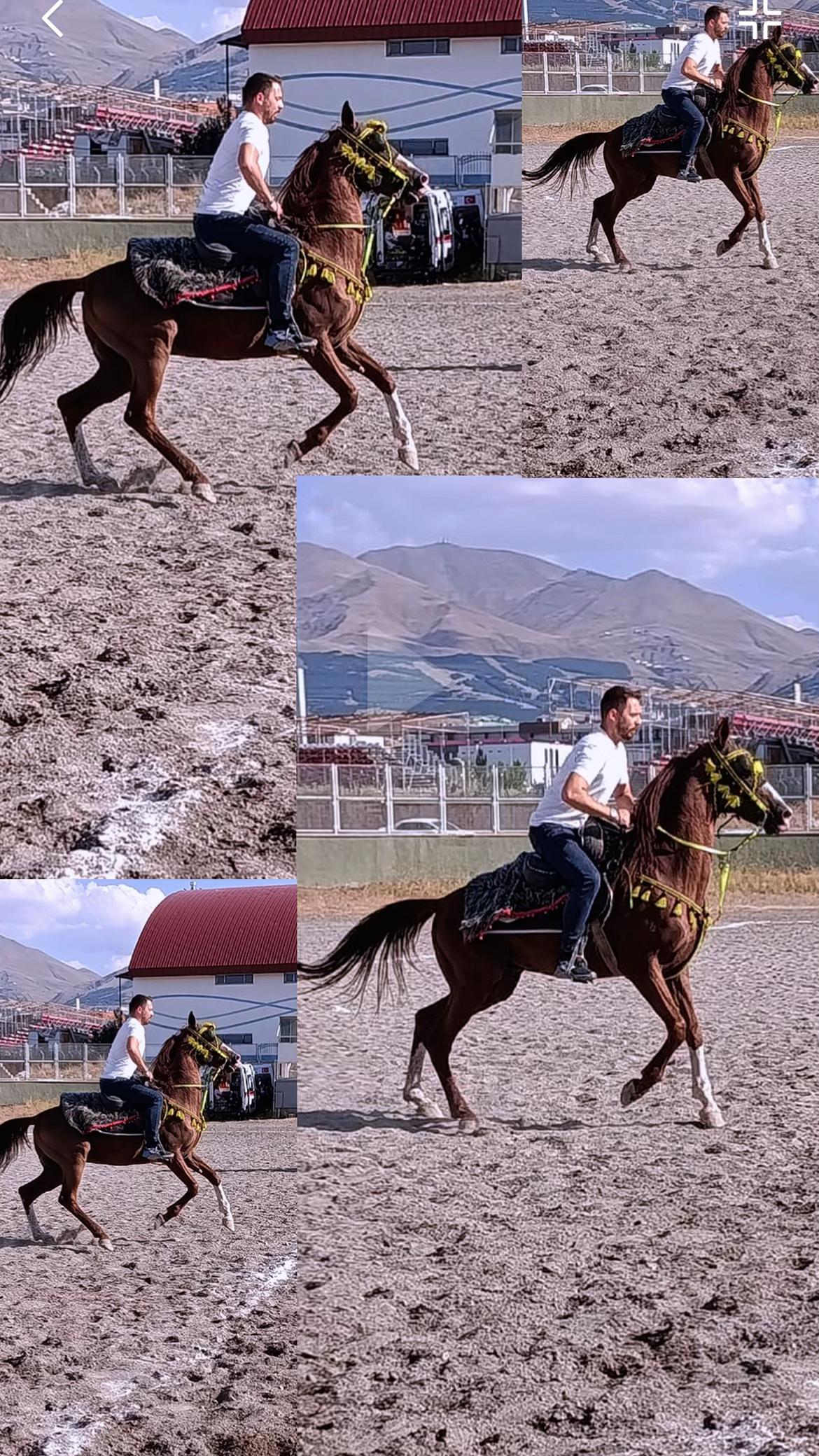 @Uğur Lazoğlu