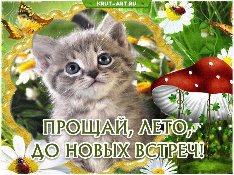 @anastasia