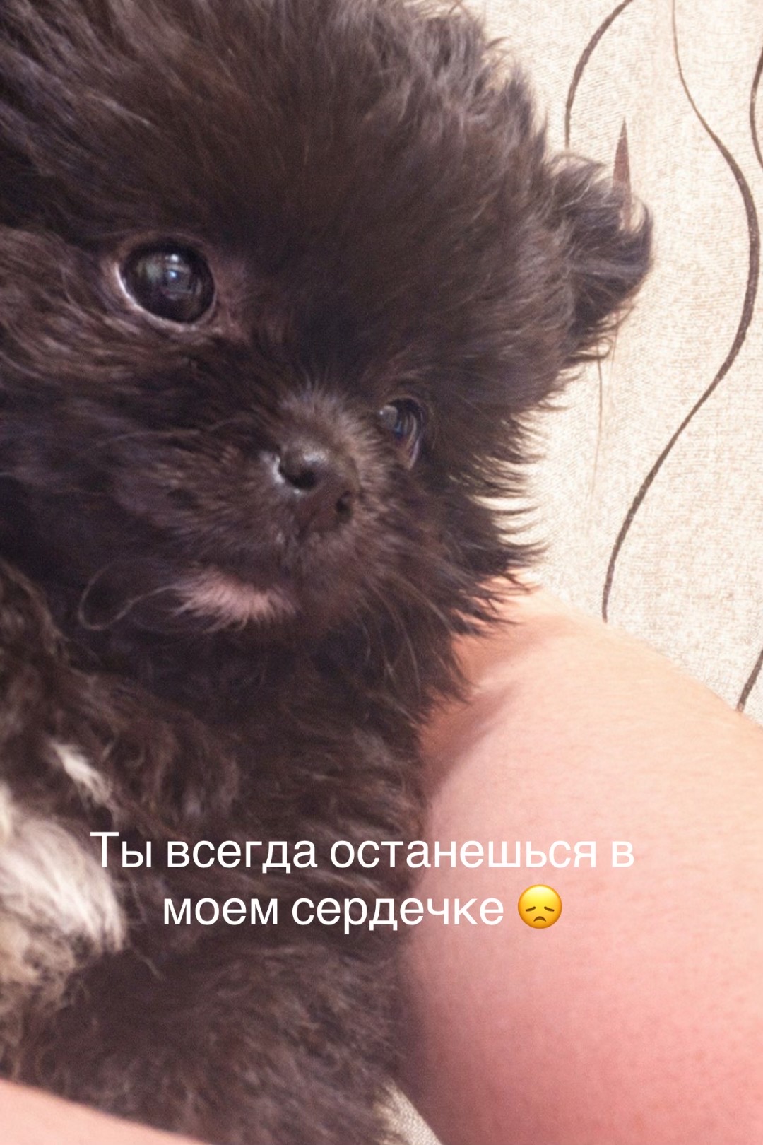 @☠&nbsp;&hearts;╣[InNẫ_RisKẫ]╠&hearts;☠