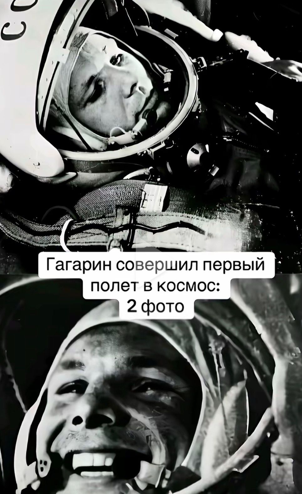 @алисвекс