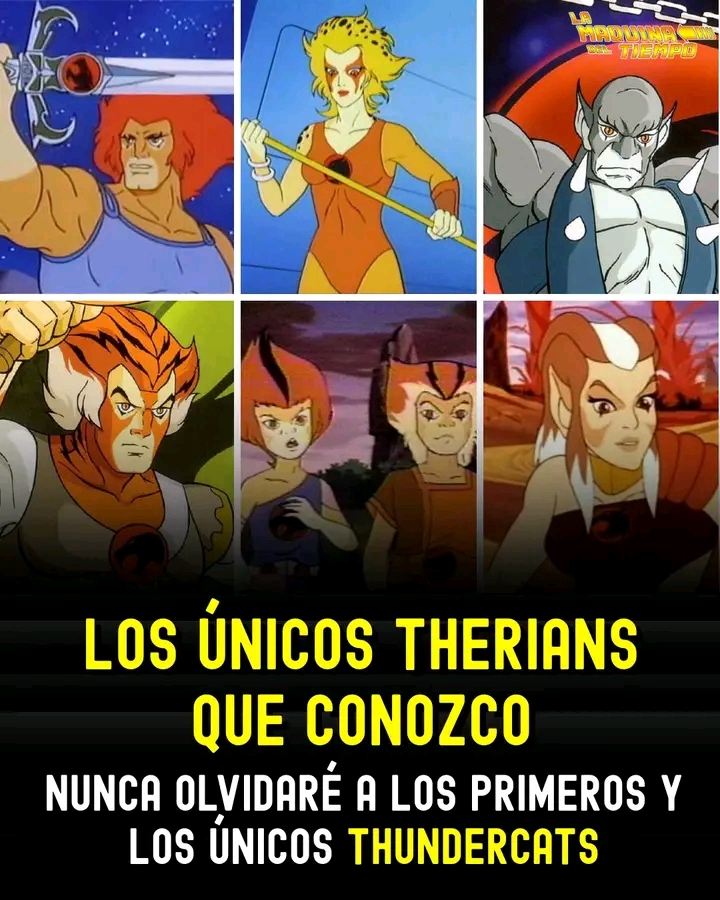 @lukas correa