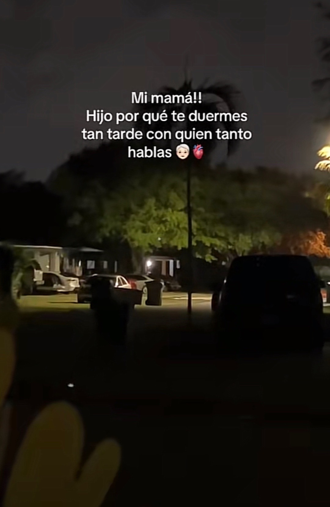 @Raul Vicente López