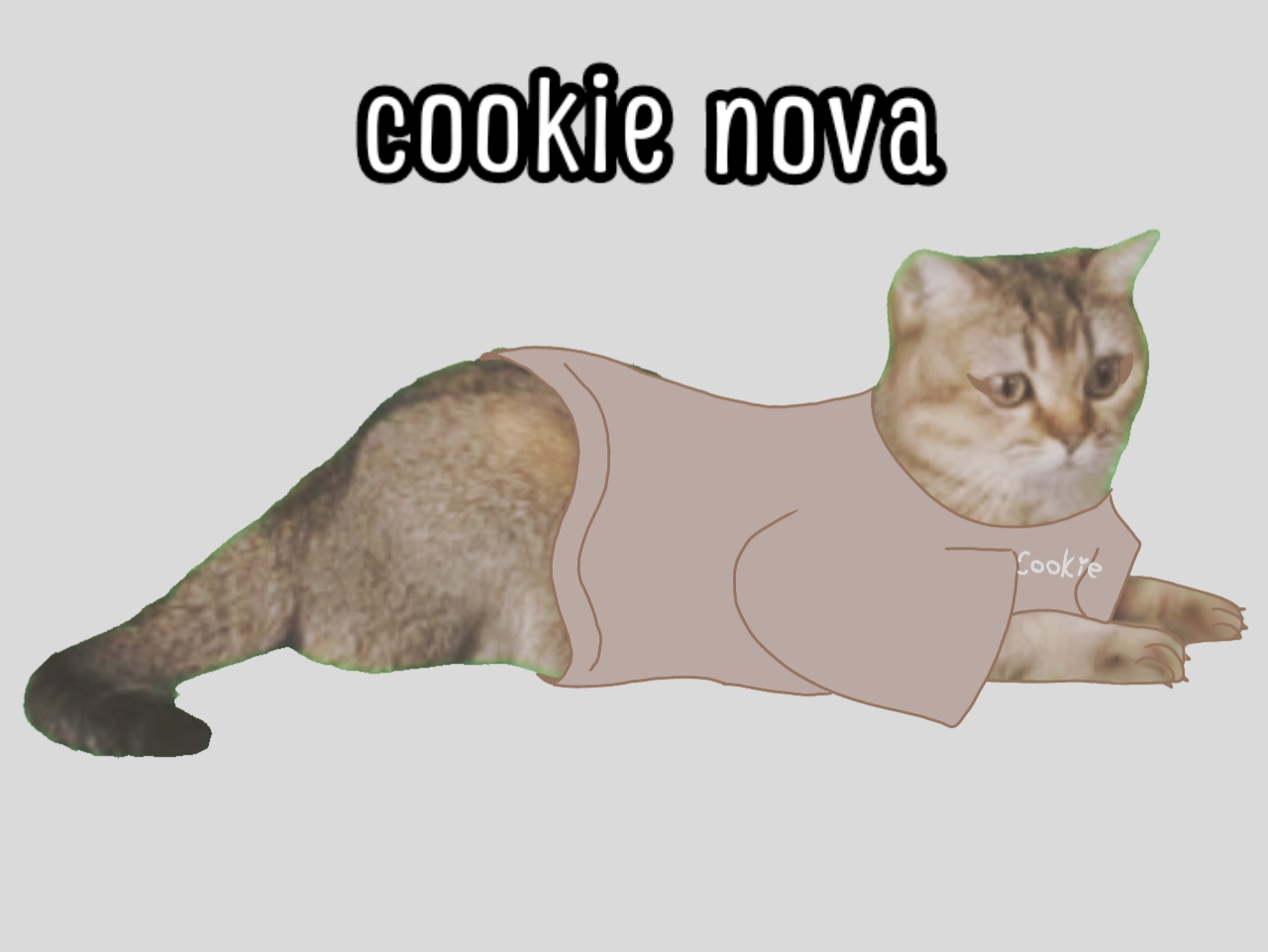 @Ozzy o gato