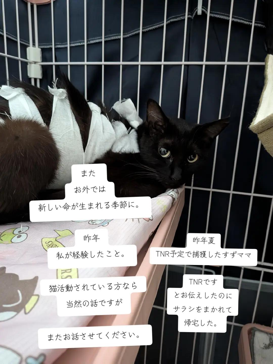 @てんきな