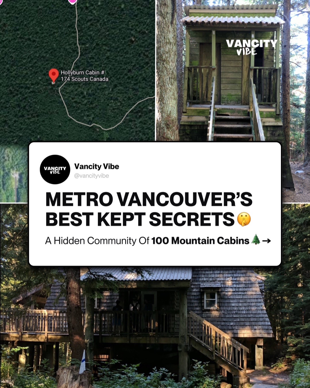 @vancityvibe