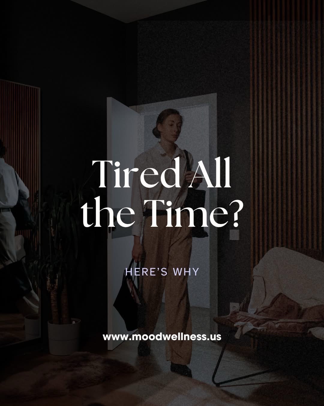 @Mood&ensp;Wellness