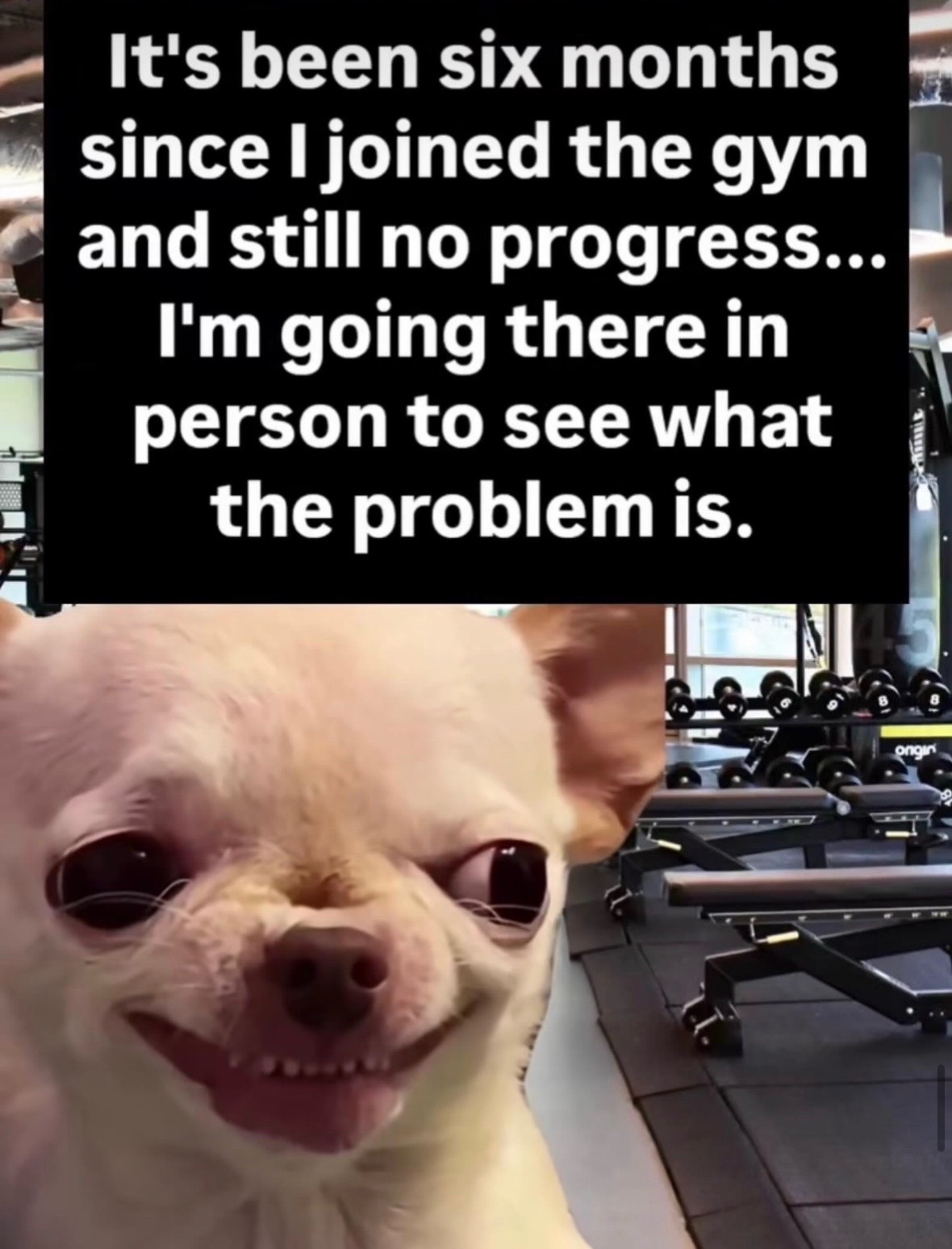 @mysteryladysmile1