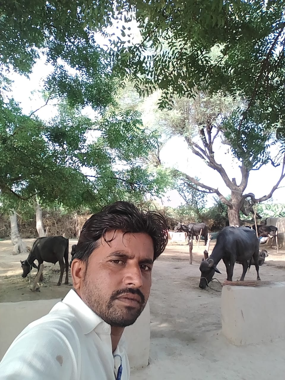 @Mr.Arjun kachhi