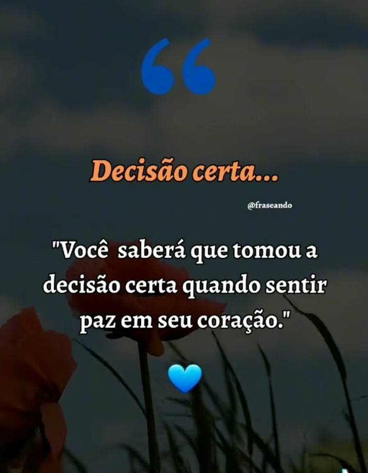 @solmedeiros708