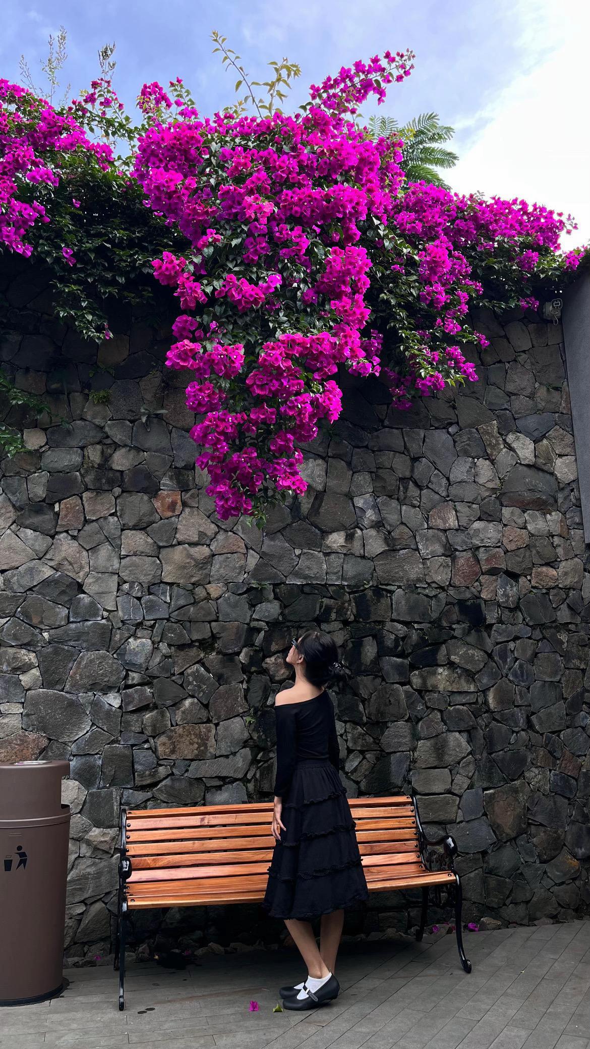 @🦋