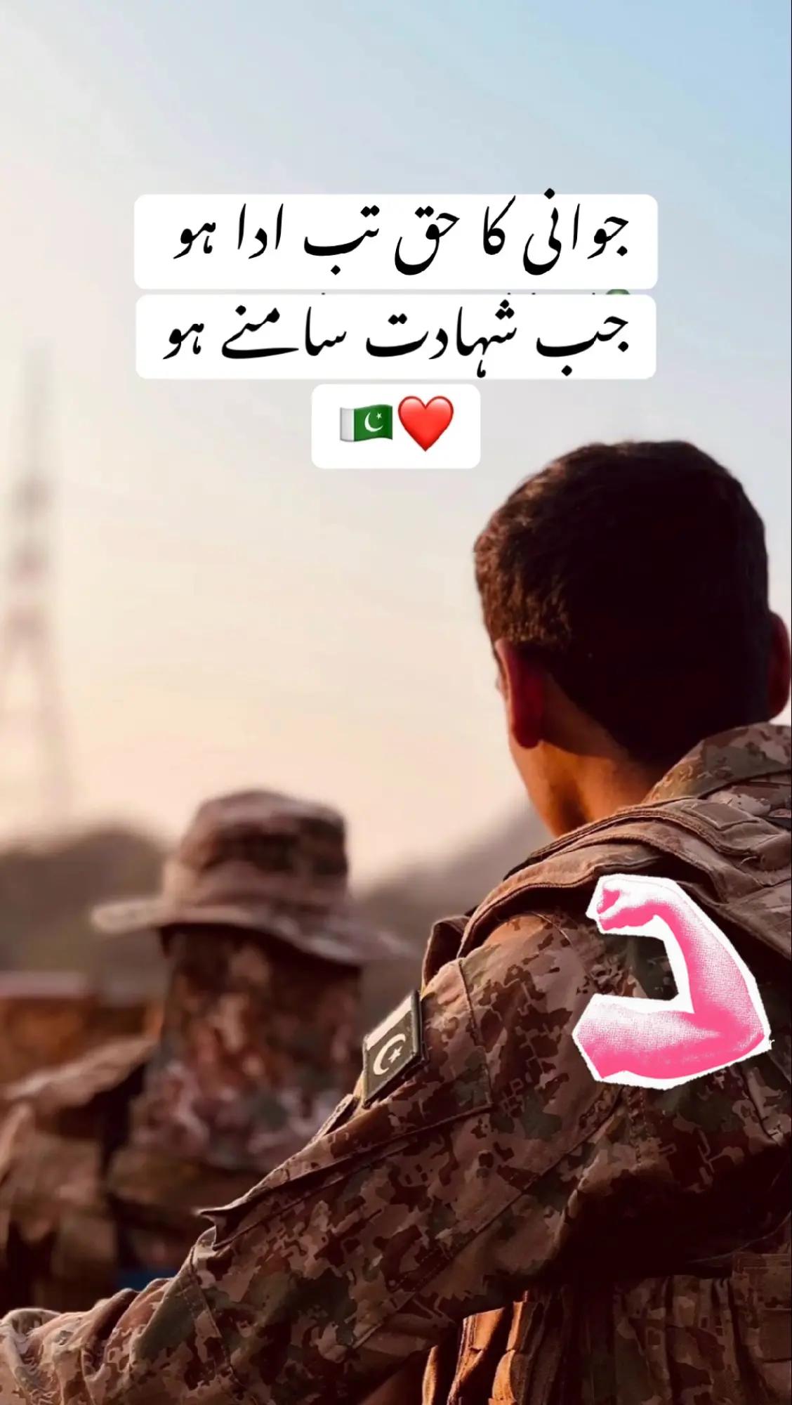 @Qadir khan