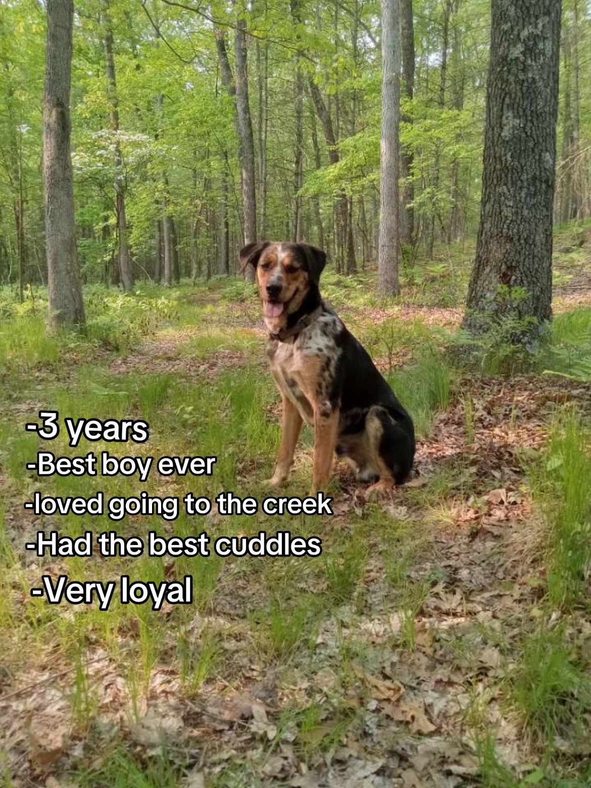 @Sahara