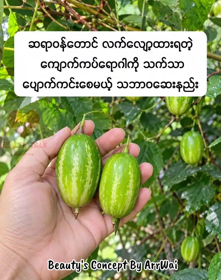 @đđŤđŤ_đđđ˘ đđ¨đŽđŤđ§đđ˛