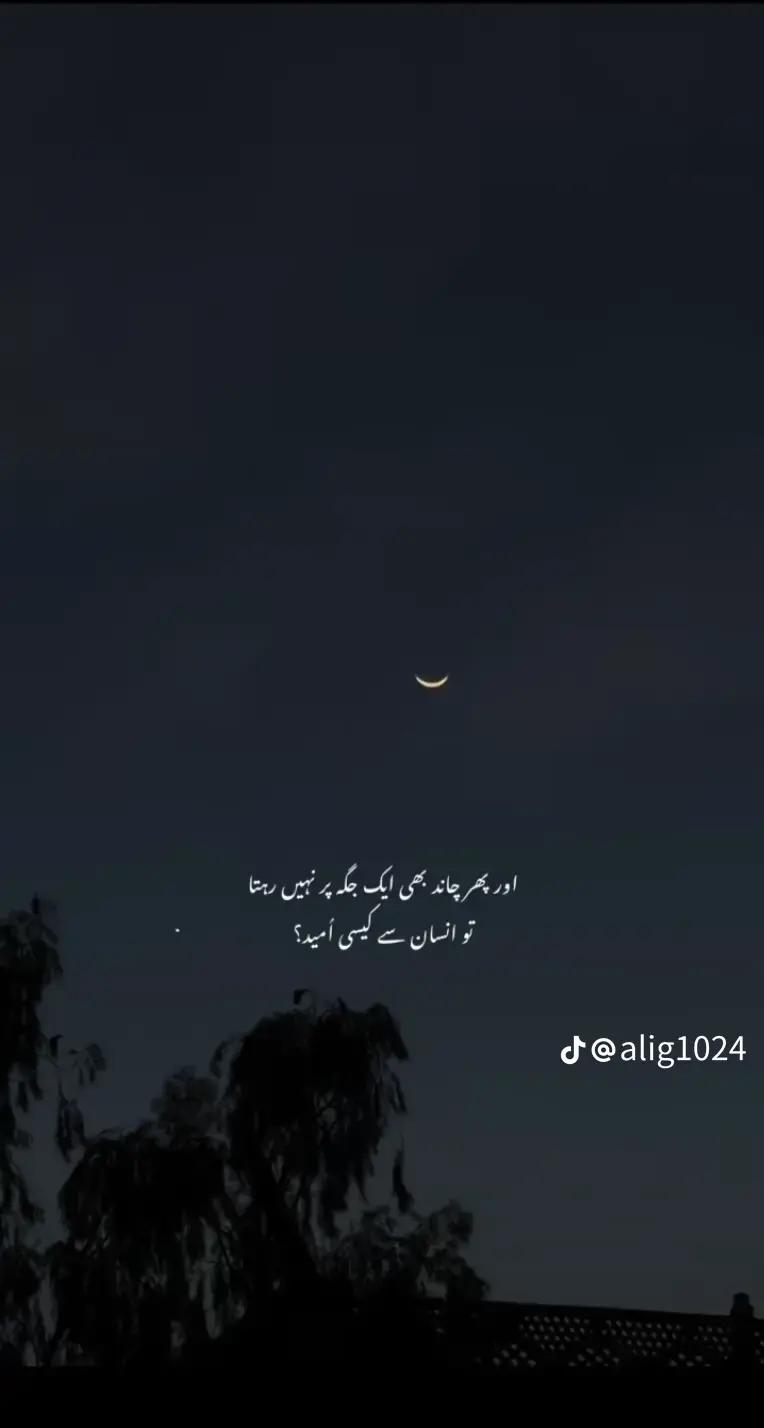 @Ch AbdulRehman (5)