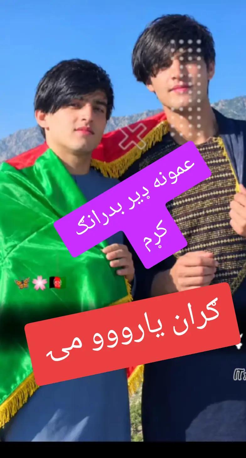 @Arman Phasha