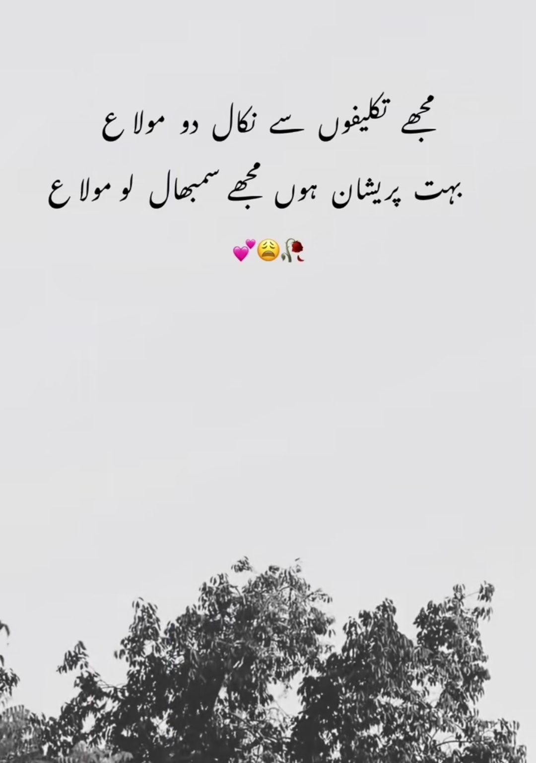 @HAIDER 07