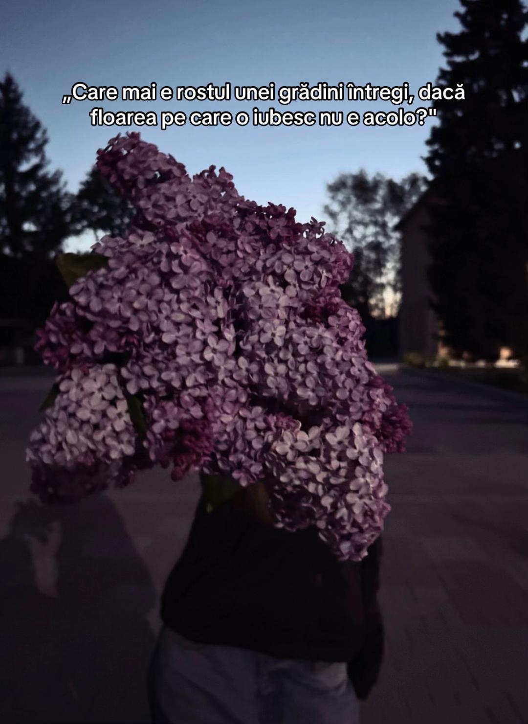 @🖤