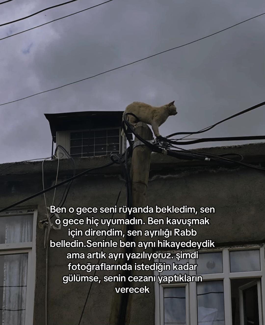 @müzeyyen