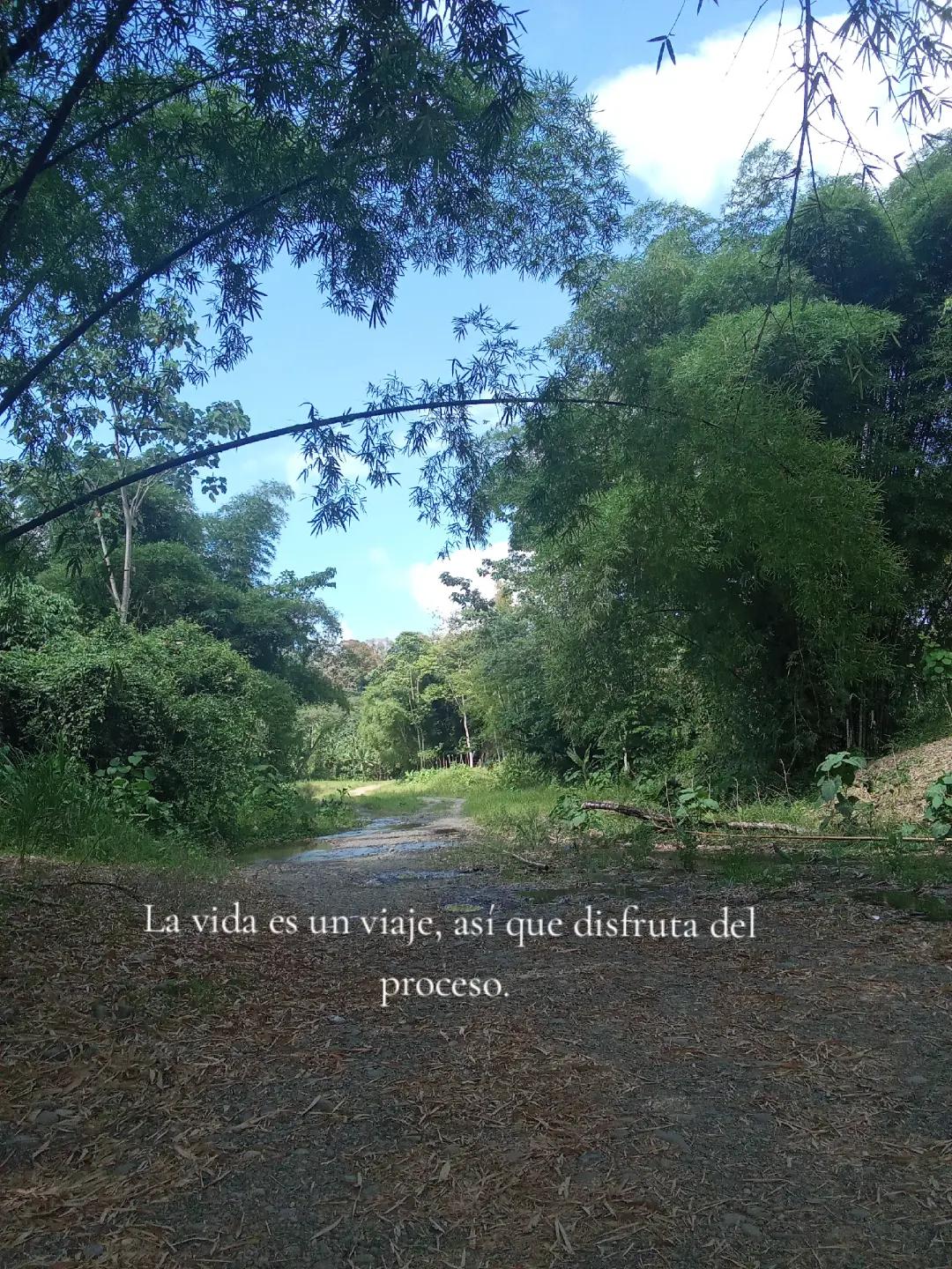 @🌻Eli Juárez🌻