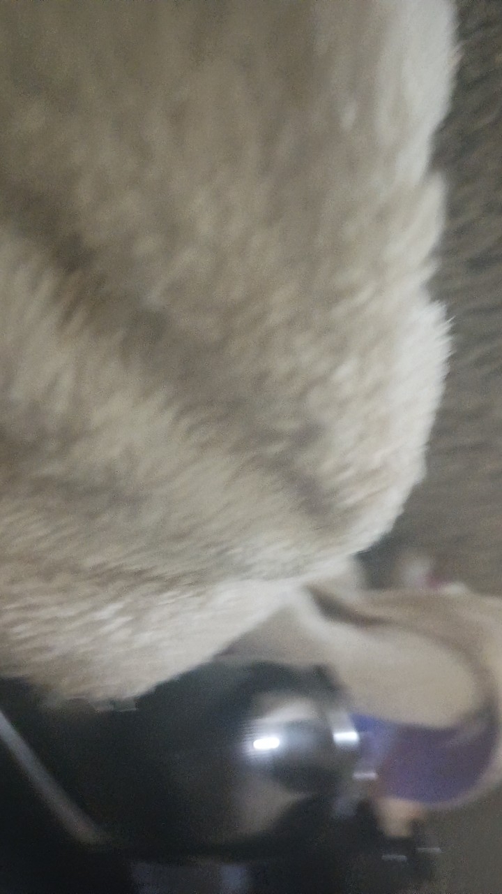 @Jqdagoat