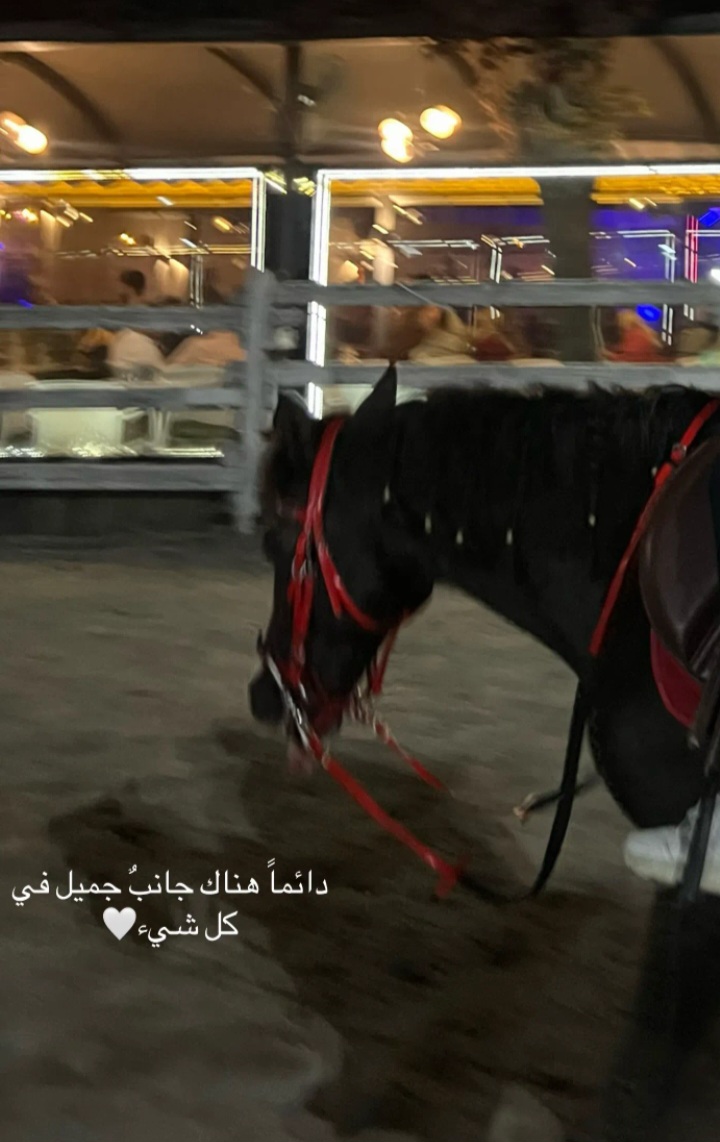 @آ۾ ريـ⃪ـ⃪𔘓ـ⃪لامـ⃪ــم🦌𔘓: