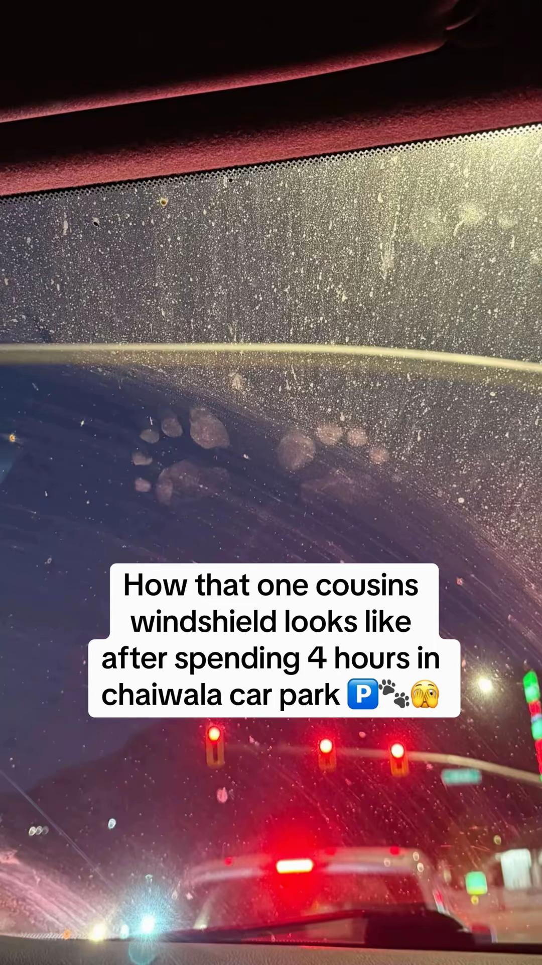 @Anayaaa👾
