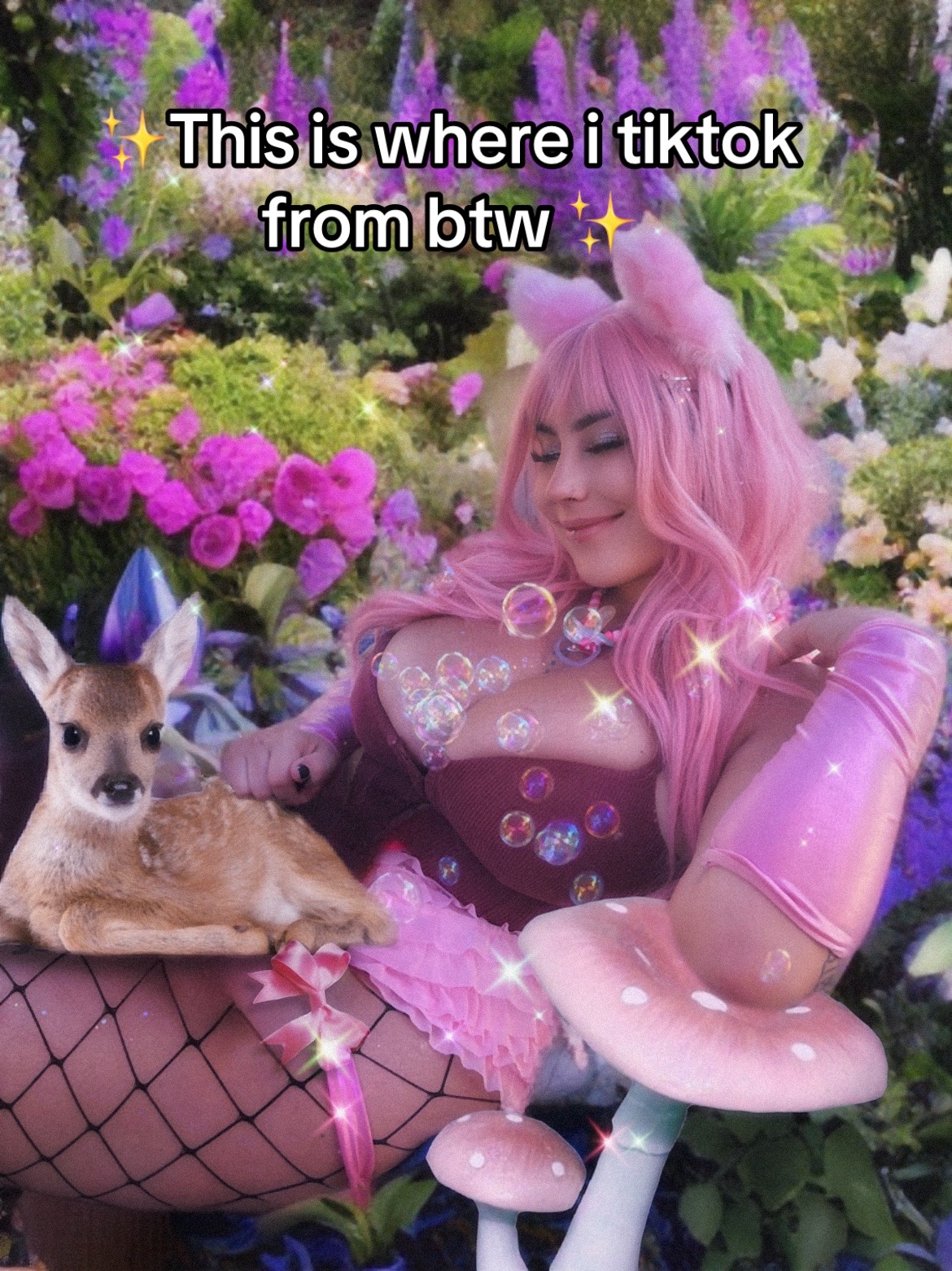 @๐๐ถ๐ฎ๐ฝ๐ฑ๐๐ผ๐ฝ ๐ก๐ธ๐ผ๐ฎ