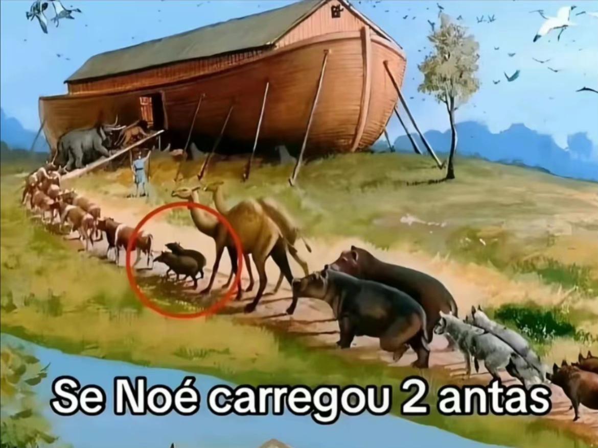 @noob_edit