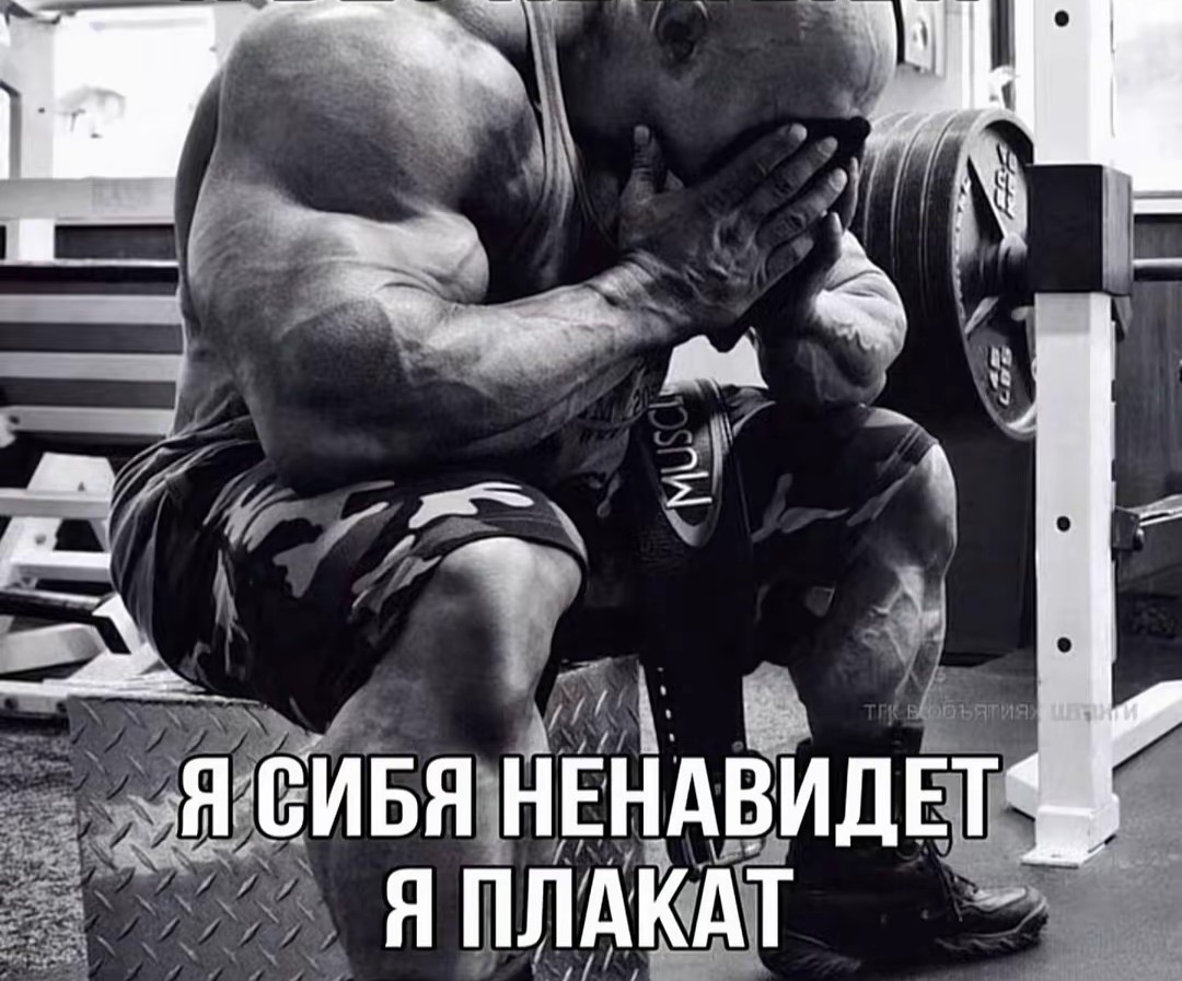 @шпик🥪