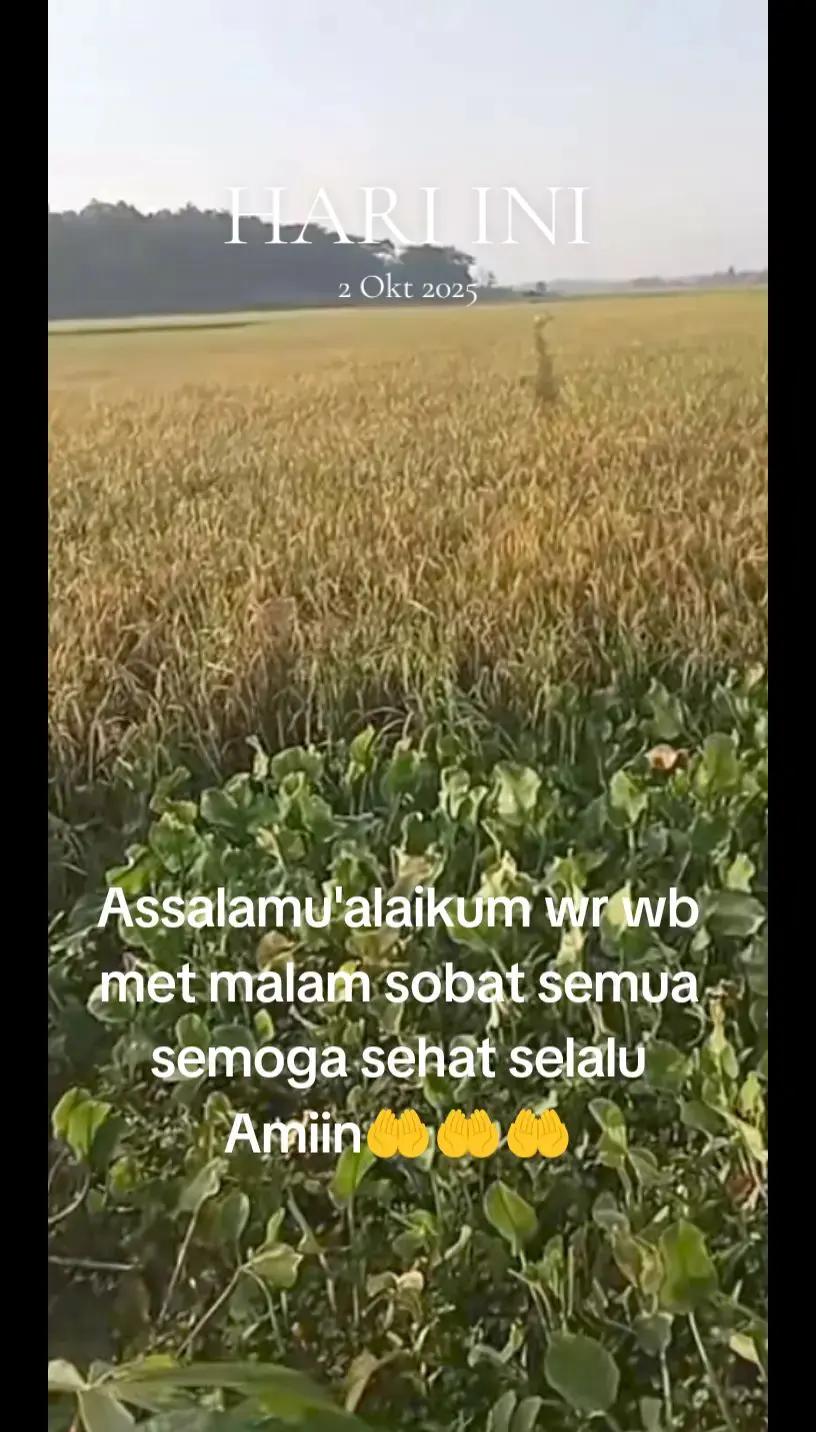 @Doni R