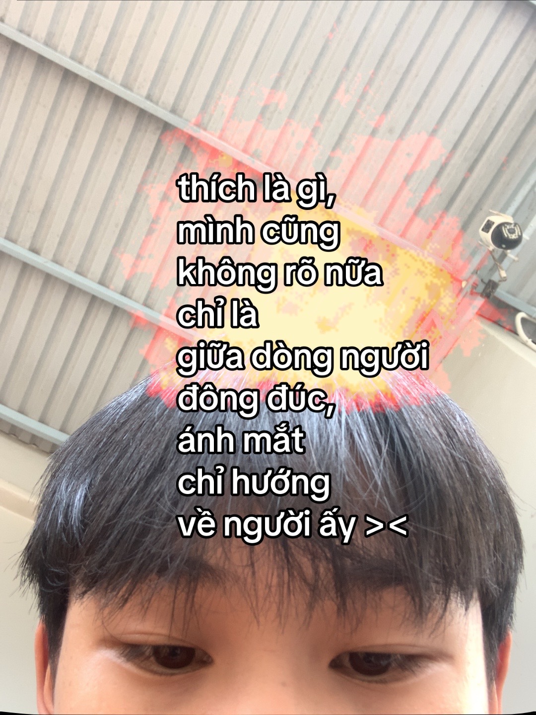 @hoàng đạt