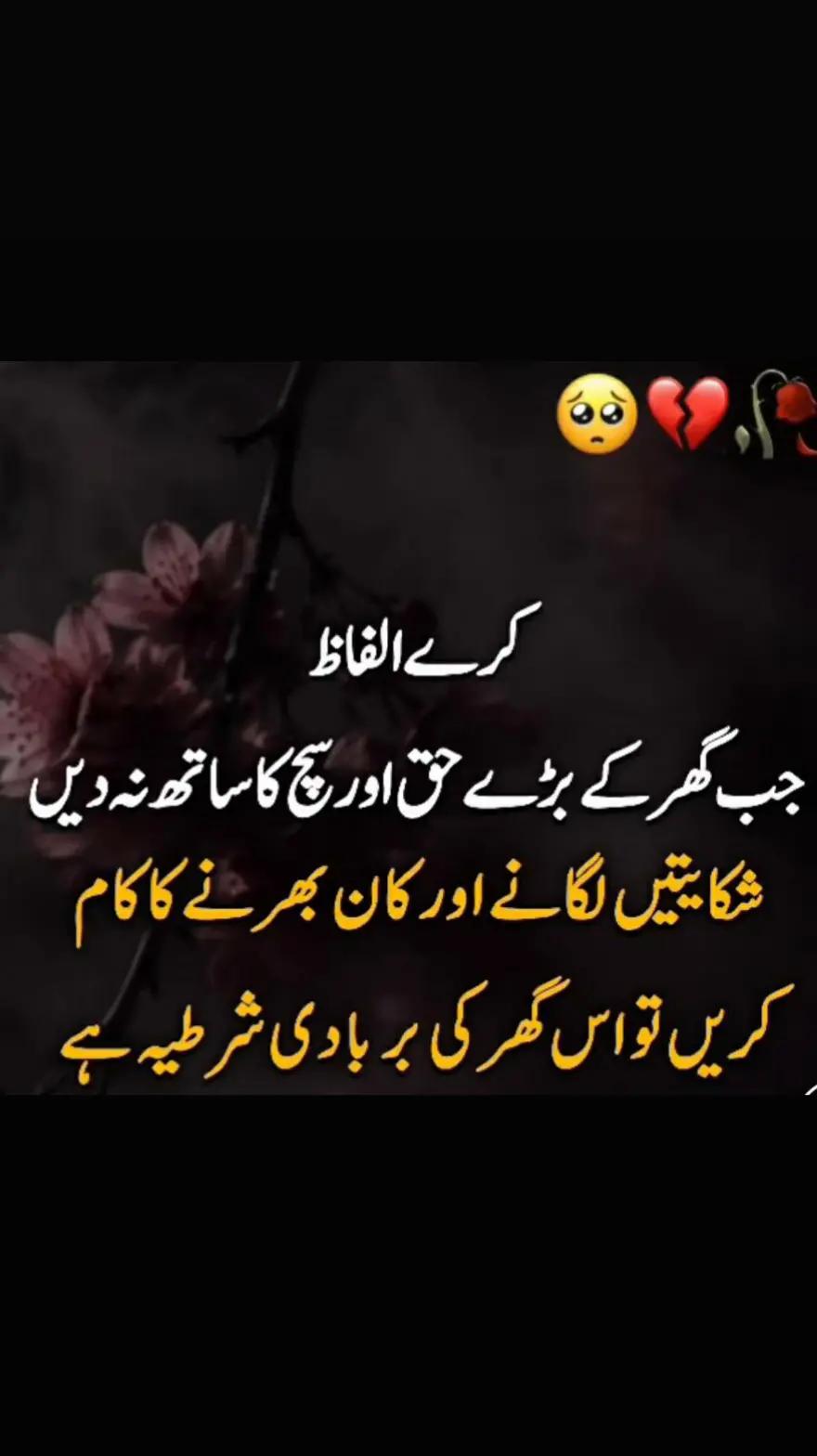 @✌irfan malik✌