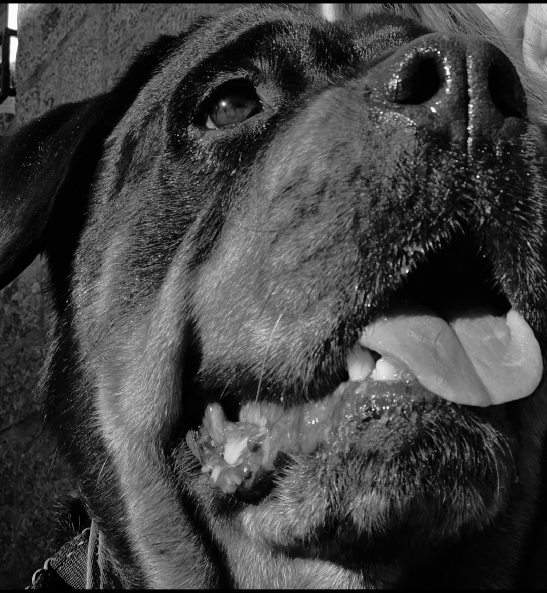 @❤️KyRa❤️RoTTie