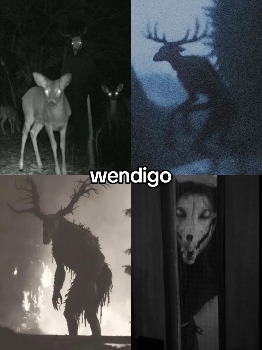 @Liminal Timelines