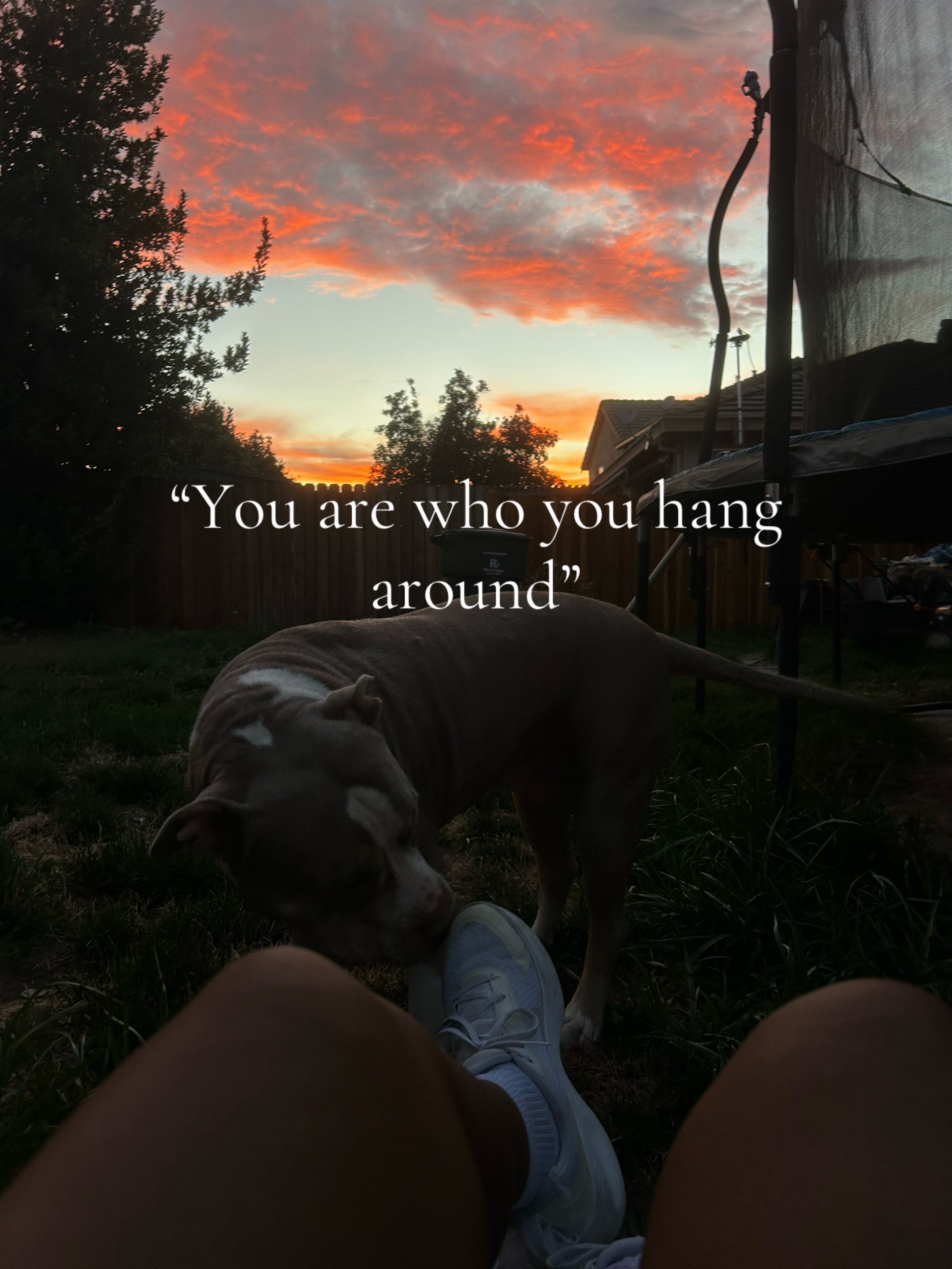 @liyah rae